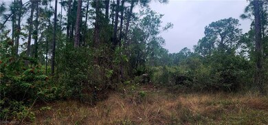 Lot view from west corner