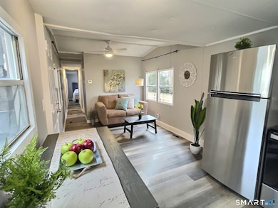 36 Long Dr, Windham, CT 06256 - photo 4