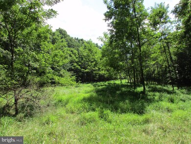 0 Tabor Rd unit 1000202295, Berkeley Springs, WV 25411 - photo 4