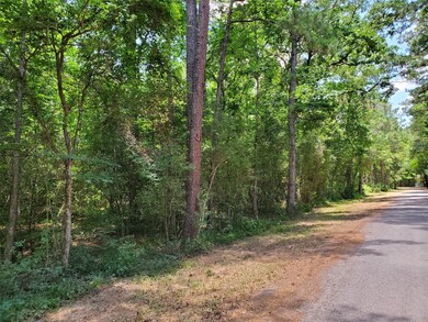 0 Sweet Gum Dr unit 36517348, Hockley, TX 77447 - photo 2