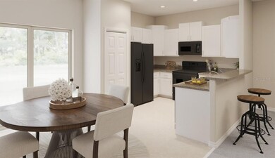 unlisted-address, Sun City Center, FL 33573 - photo 3