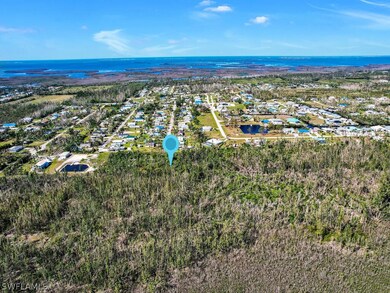 11301 Arden Lakes Dr, Pine Island Center, FL 33922 - photo 3