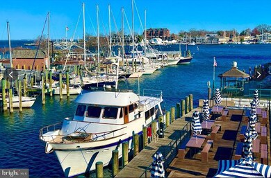 0 Reserved Parcels unit MDAA2083896, Annapolis, MD 21401 - photo 6