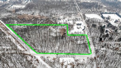 Krofft Rd Munith MI (VL - Aerial) -3