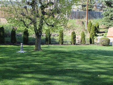 Yard/Garden.