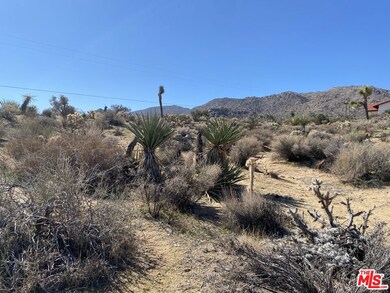 7564 Vista Rd, Joshua Tree, CA 92252 - photo 5