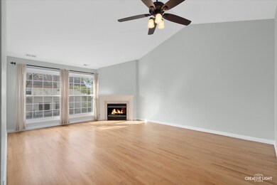 1132 Spring Garden Cir unit 32, Naperville, IL 60563 - photo 4