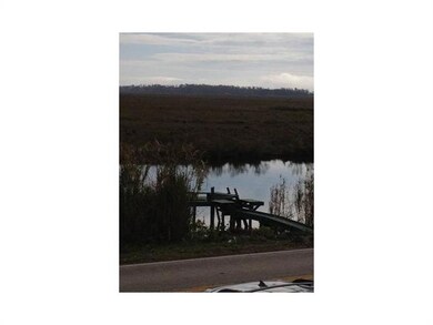 Photo.