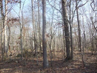 000 Jim Petty Rd, Crandall, GA 30711 - photo 4