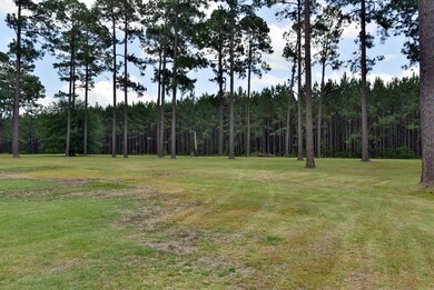 1510 Lily Pond Rd, Albany, GA 31701 - photo 5