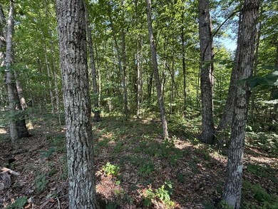 Lot 26 Little Place, Monterey, TN 38574 - photo 6