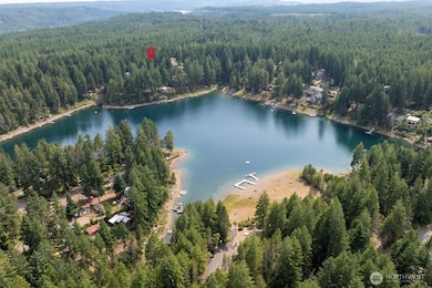 200 NE Lakeshore Dr S, Tahuya, WA 98588 - photo 6