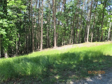View of wooded area