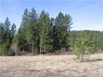 Nice mix of treed + open