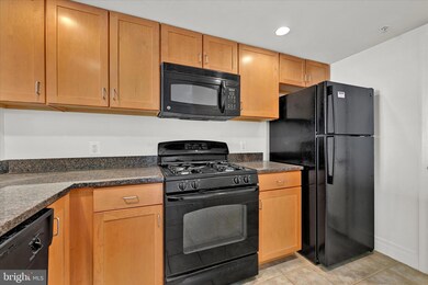 414 Water St unit 2506, Baltimore, MD 21202 - photo 5