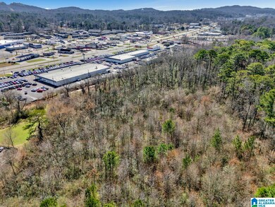 580 Goldenrod Dr unit 1, Birmingham, AL 35215 - photo 4