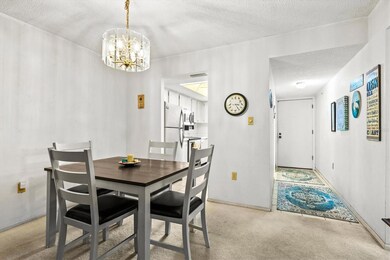 3564 Lake Bayshore Dr unit 203, Bradenton, FL 34205 - photo 3