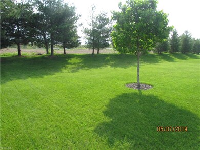 Nice flat back yard, and neighborhood.