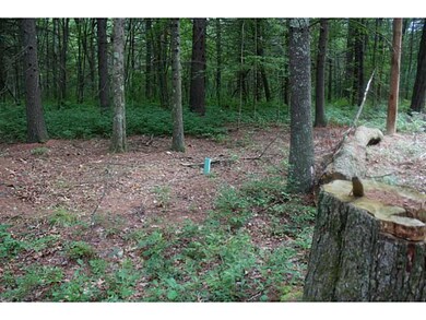 22 Salisbury Rd, Foster, RI 02825 - photo 6