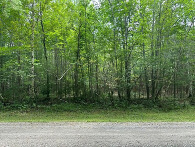 M40 L13-7 Mallard Rd, Madison, ME 04950 - photo 4