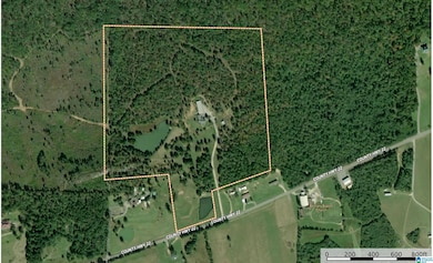 3941 Shoal Creek Rd, Ashville, AL 35953 - photo 7