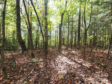 99999 N Pointe Dr unit 5 and 30, Zirconia, NC 28790 - photo 2