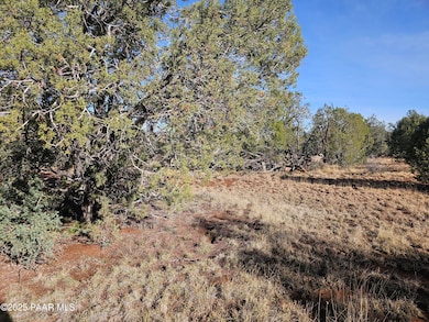 54892 N Potrero Ln, Seligman, AZ 86337 - photo 3