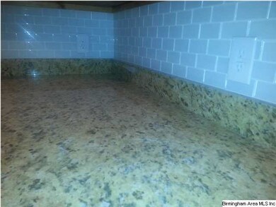 new granite counter tops and glass back splash