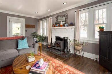 Woodburning stove in fireplace