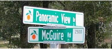 5566 Panoramic View Dr, Apopka, FL 32712 - photo 4