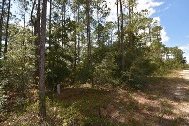 Eagle Way Lots 05