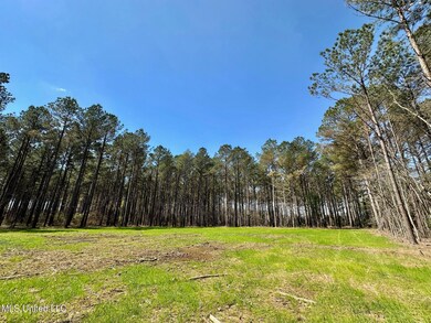 0 Morgan Rd, Canton, MS 39046 - photo 6