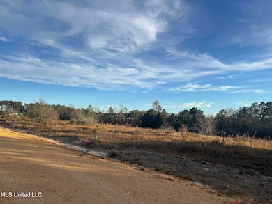 00 Mike Parker Rd, McHenry, MS 39561 - photo 2