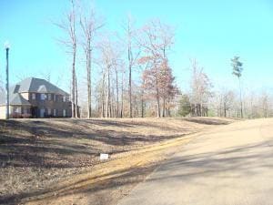 0 Lost Lake Hills Rd, Columbus, MS 39702 - photo 4