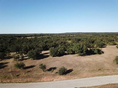 321 Arborview Dr, Weatherford, TX 76485 - photo 2