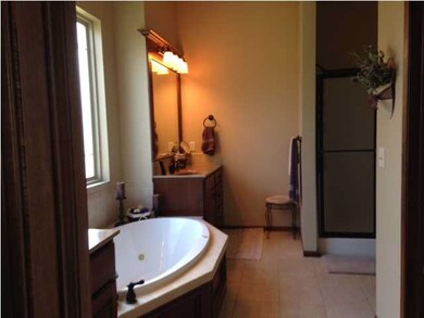 Seperate Sinks Tub and Shower