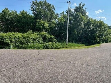 TBD 169th Ave NE, Ham Lake, MN 55304 - photo 5