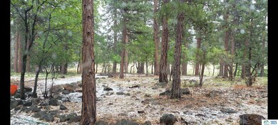 000 Dirt Pine St, Janesville, CA 96114 - photo 4