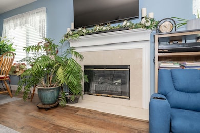 Wood Burning Fireplace