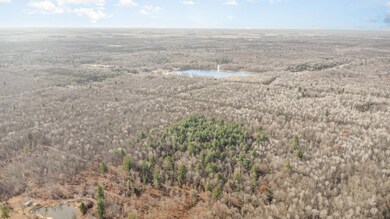 0 S County Line Rd unit 50195278, Shepherd, MI 48883 - photo 7