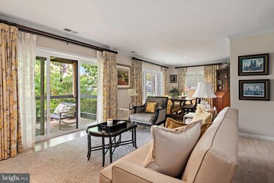 5 Spa Creek Landing unit A1, Annapolis, MD 21403 - photo 2