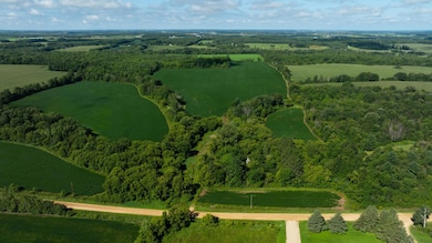 Lot 1 280th St, Glenwood City, WI 54013 - photo 3