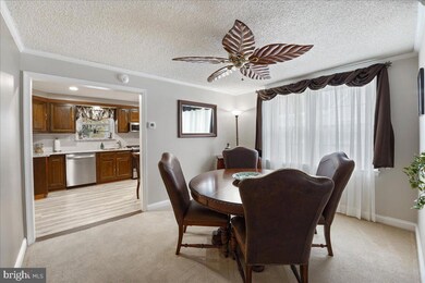 920 Lawnton Terrace, Glenolden, PA 19036 - photo 7