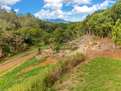 0 Kana St unit 10B 715937, Kapaa, HI 96746 - photo 7