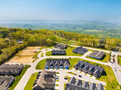 119-P-Founding-Way-Drone-MLS-Photos-1
