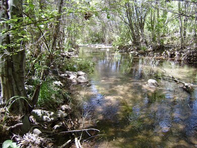 4120 CREEK VIEW DRIVE