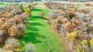 000 State Route W, Granby, MO 64844 - photo 5