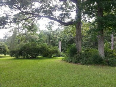 Backyard.