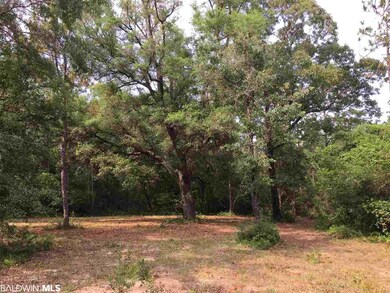 0 New Hope Church Rd, Robertsdale, AL 36567 - photo 3