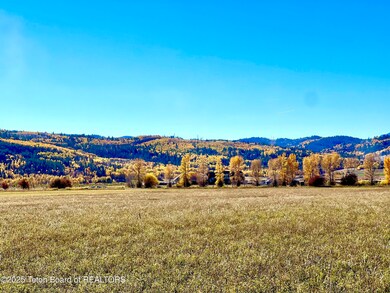 Canyon Wren fall photo7